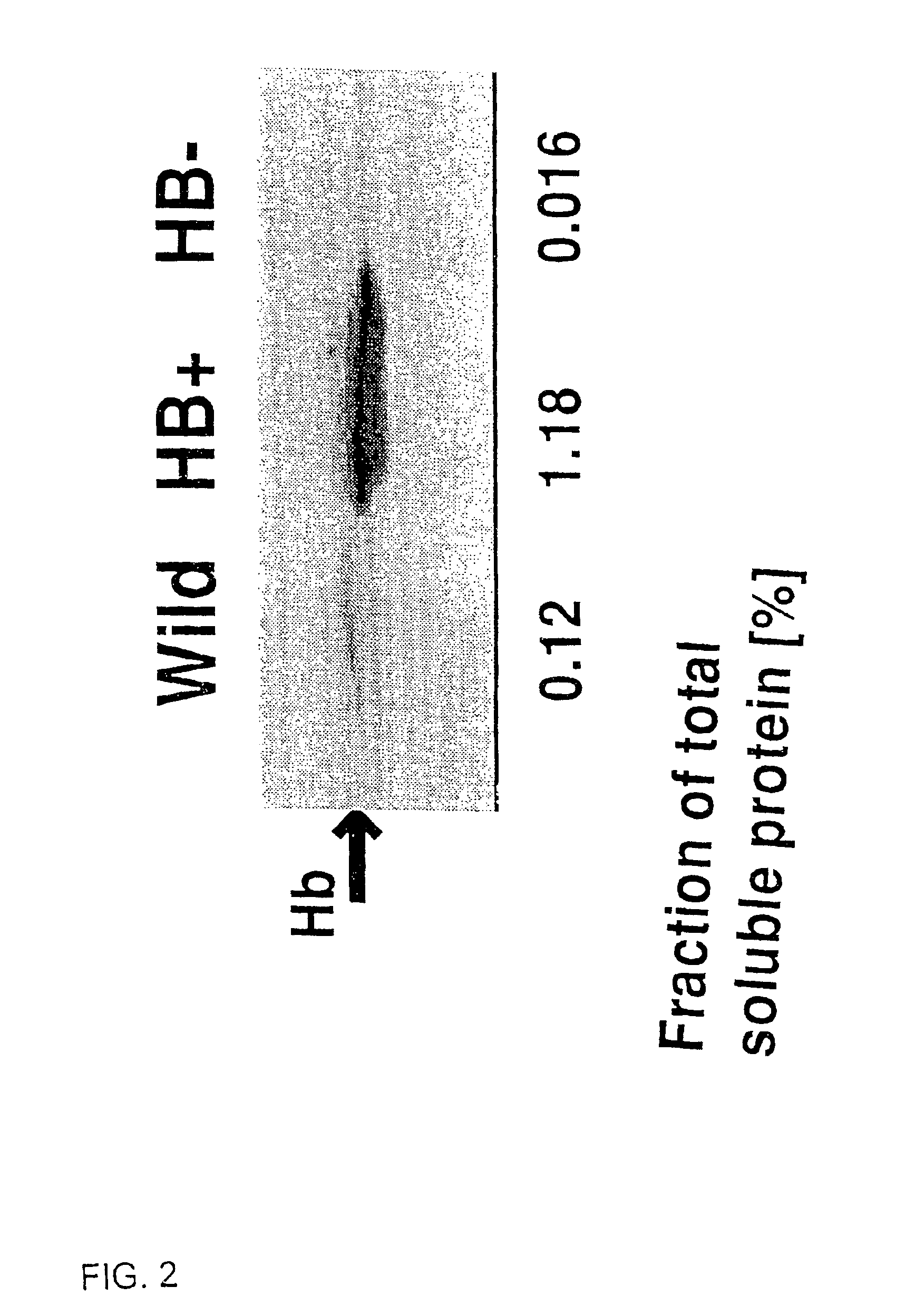 Nonsymbiotic plant hemoglobins to maintain cell energy status