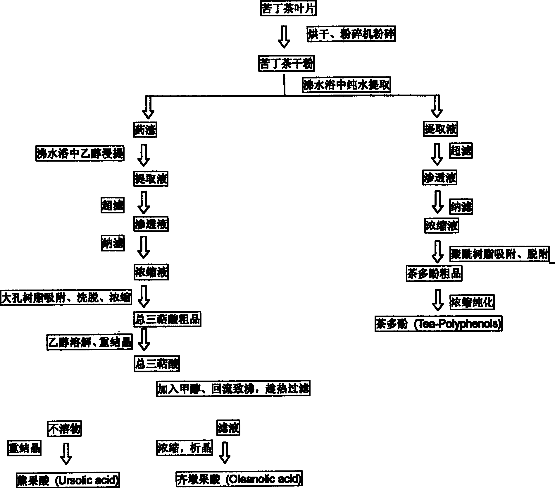 Method of separating and purifying ursolic acid and oleanolic acid