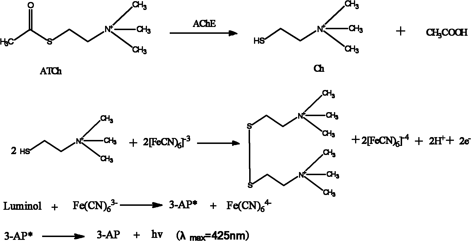 Acetylcholinesterase chemiluminescence bioreactor, and preparation method and application thereof