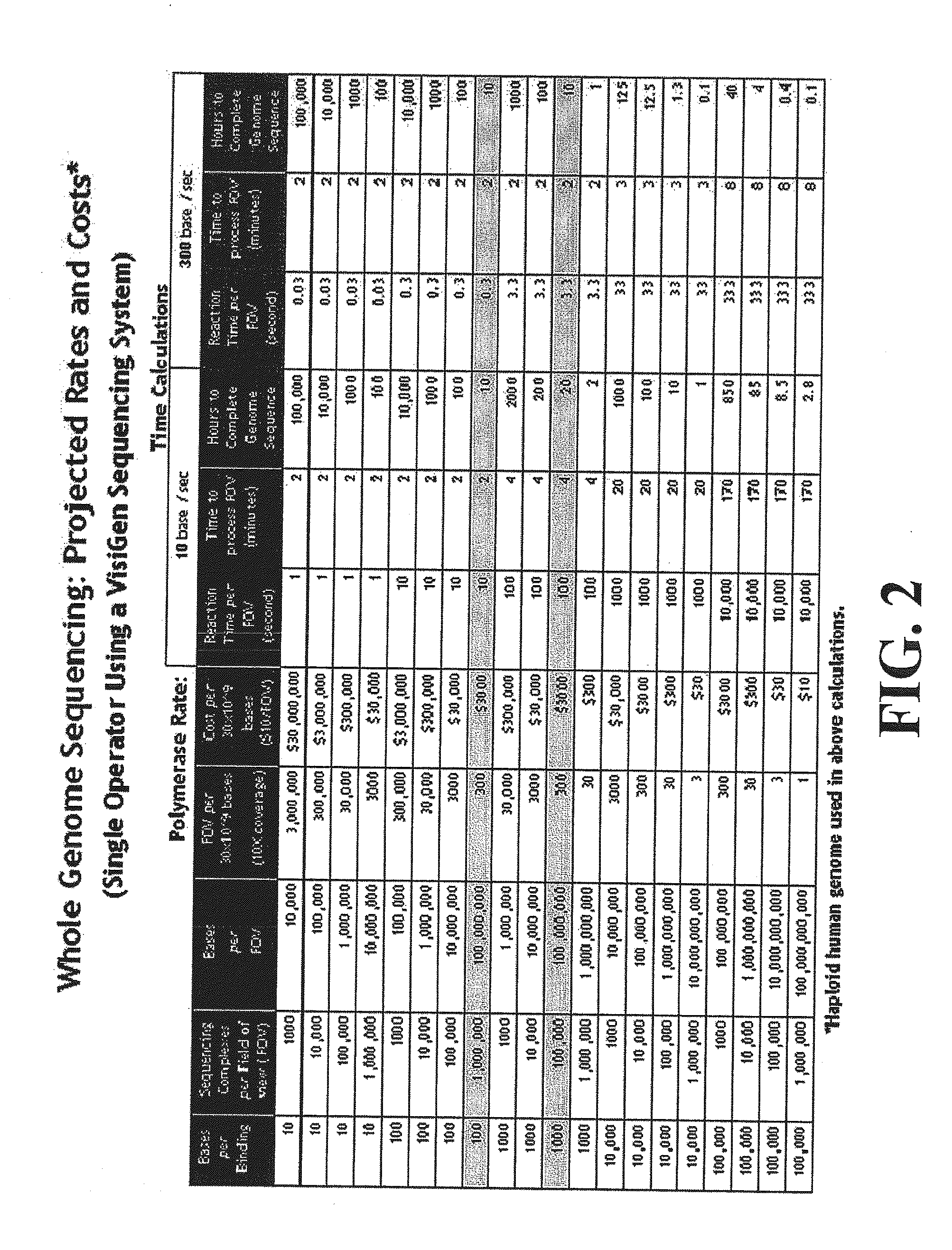 Compositions, methods and systems for single molecule sequencing