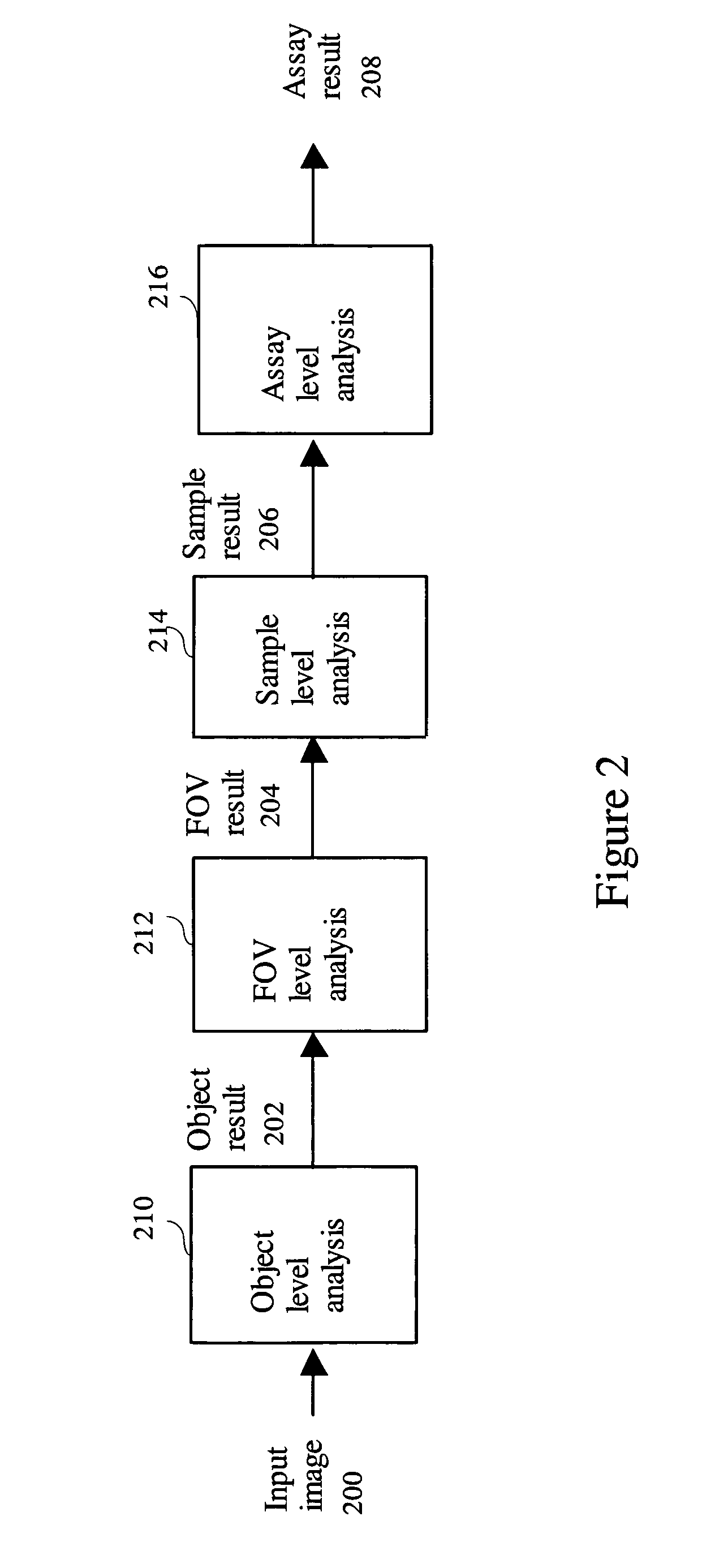 Method for robust analysis of biological activity in microscopy images