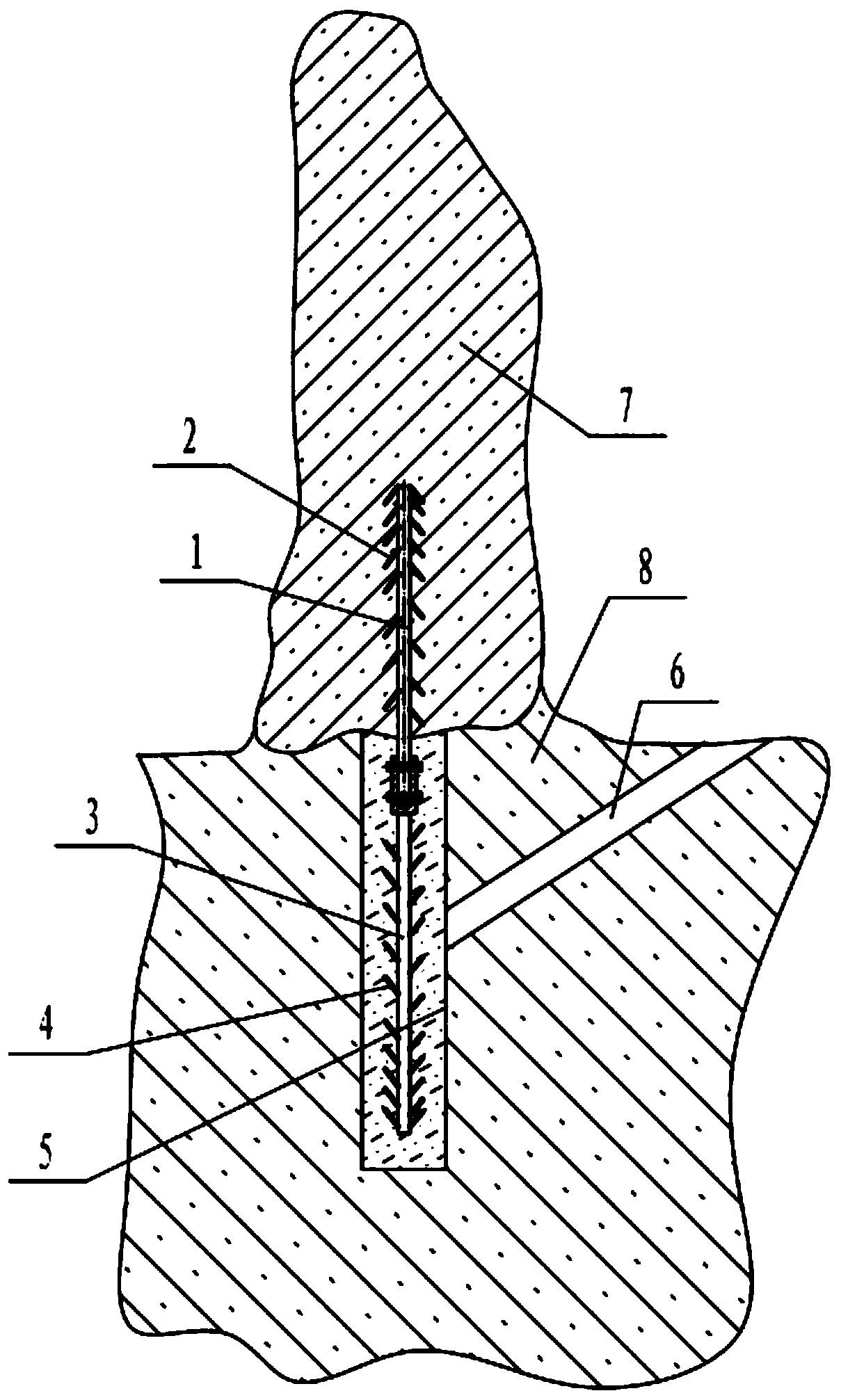 Sampled stalagmite repairing method