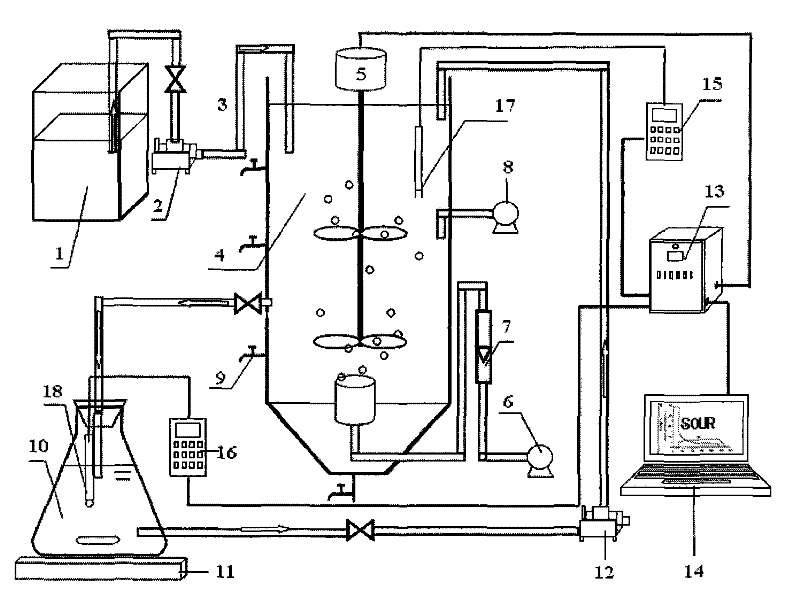 Method for detecting dynamic specific oxygen utilization rate of activated sludge system