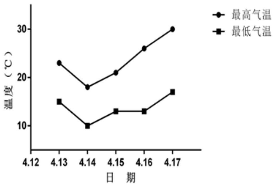 Silage rape feed as well as preparation method and application thereof