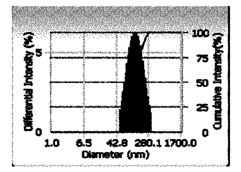 Fluorescence nanometer probe and preparation method thereof