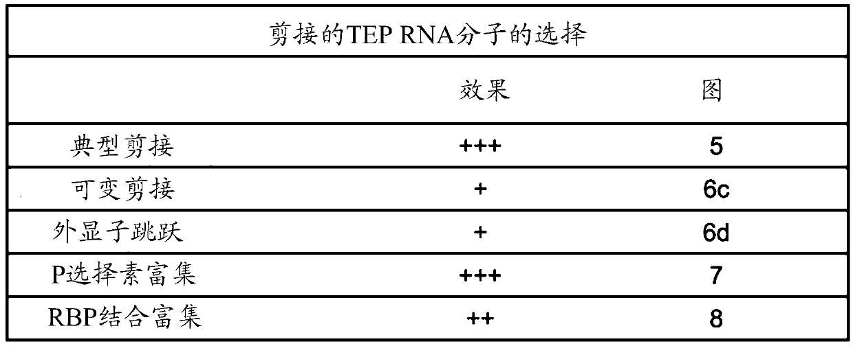 Swarm intelligence-enhanced diagnosis and therapy selection for cancer using tumor- educated platelets