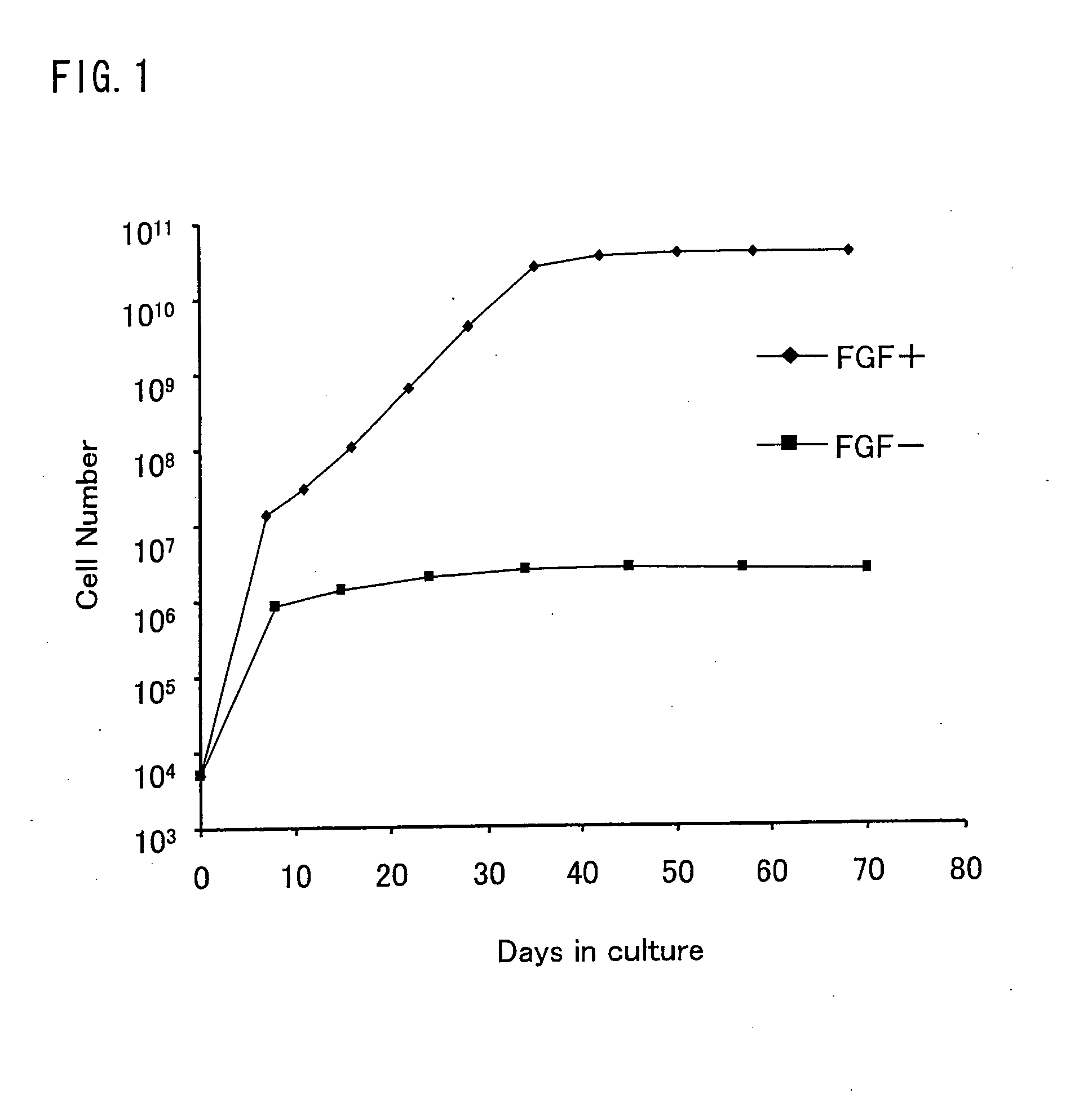 Method Of Inducing The Differentiation Of Amnion-Derived Cells And Utilization Of The Same