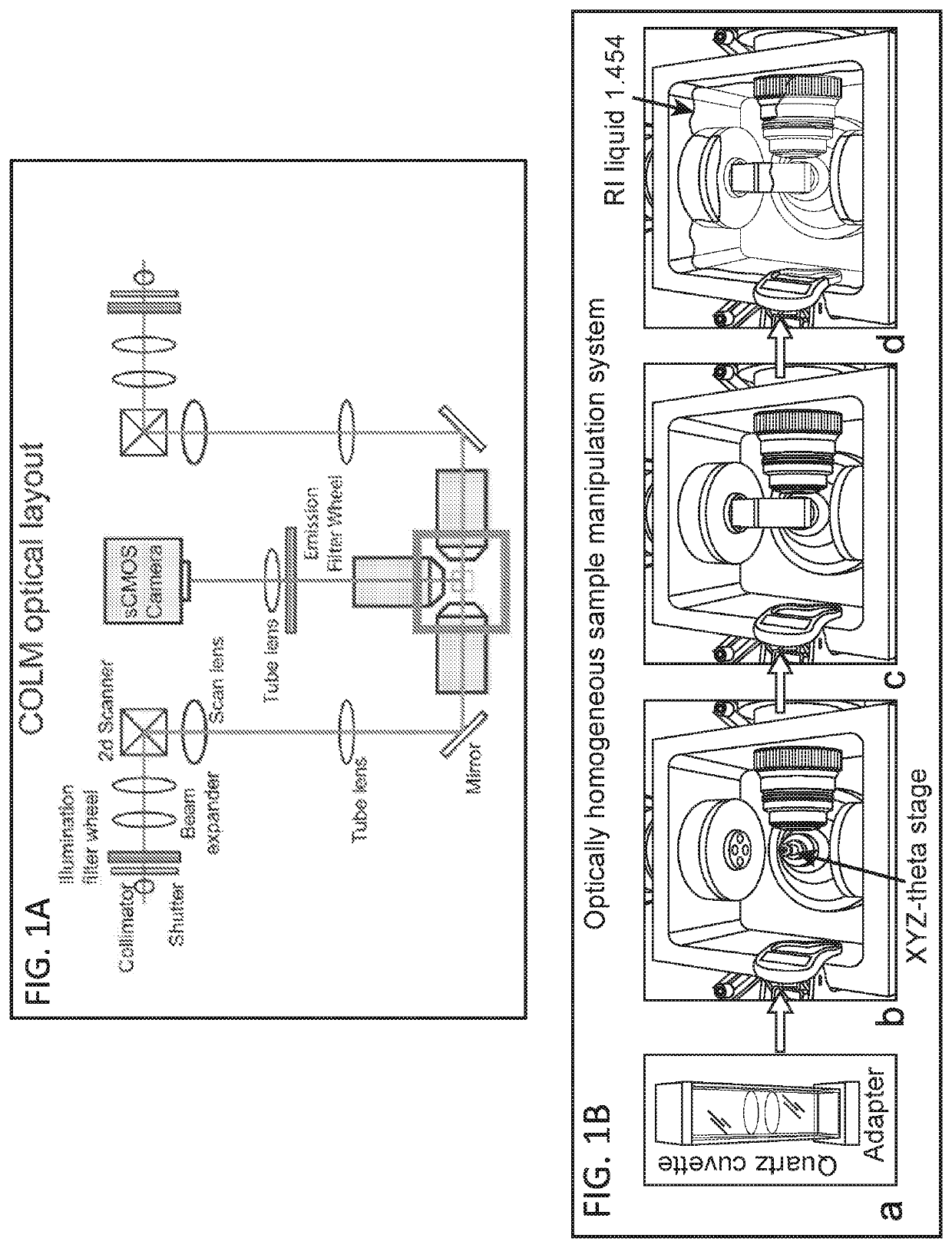 Methods and devices for imaging large intact tissue samples