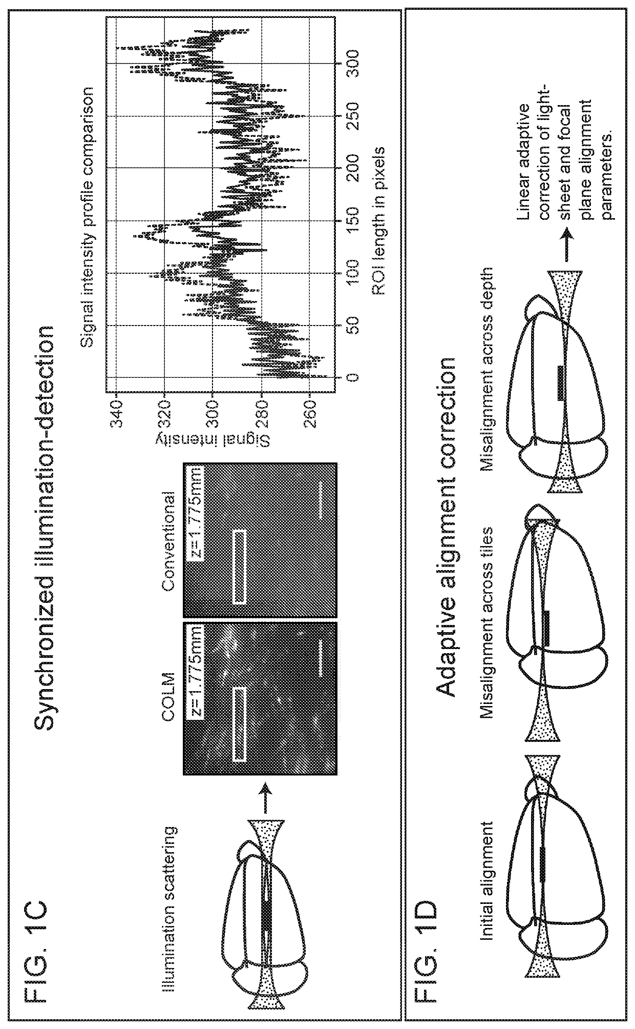 Methods and devices for imaging large intact tissue samples