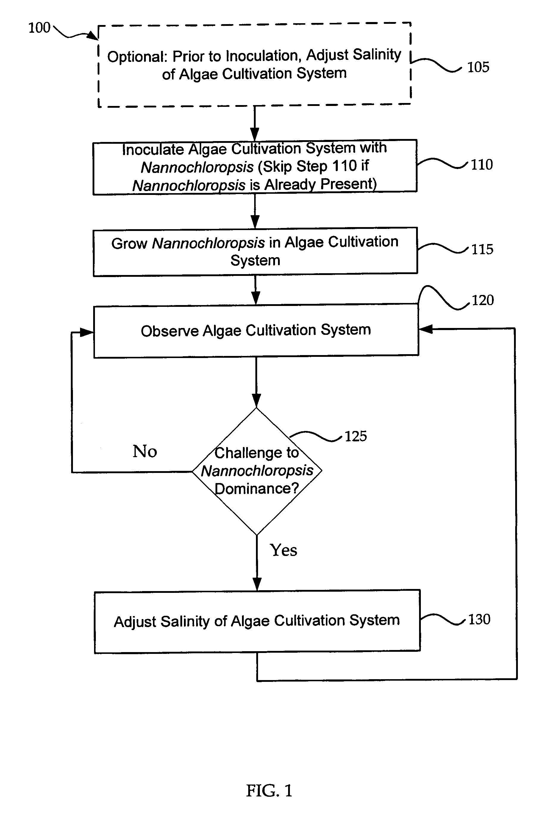 Systems and methods for maintaining the dominance of <i>Nannochloropsis </i>in an algae cultivation system