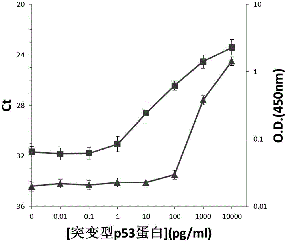 High-sensitivity protein detection method