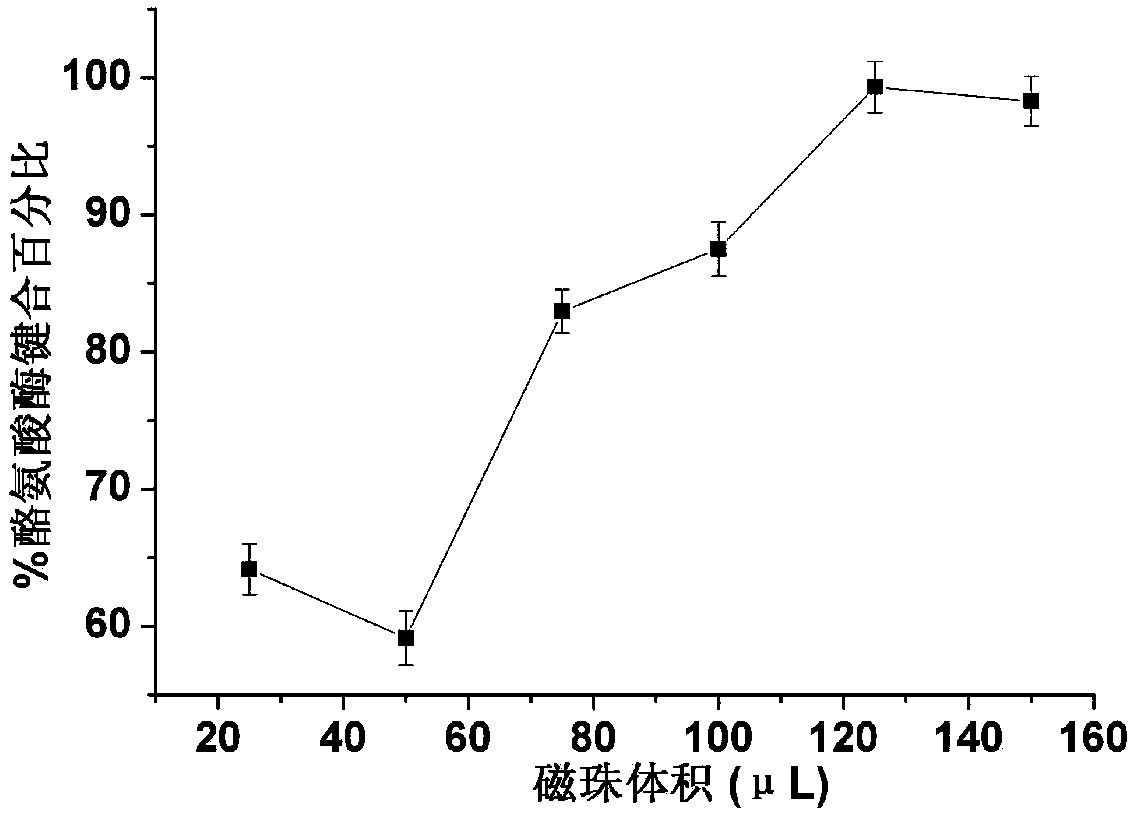 A drug screening method for anti-melanin production based on magnetic bead separation