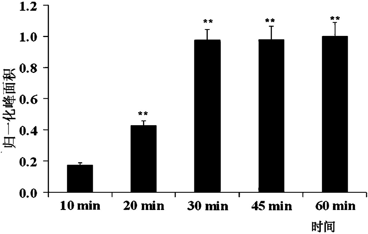 A drug screening method for anti-melanin production based on magnetic bead separation