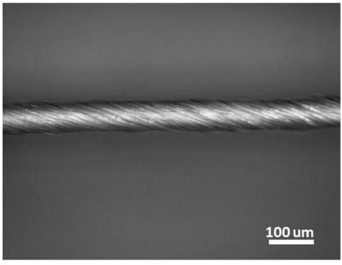 Highly-conductive flexible graphene tube and preparation method thereof