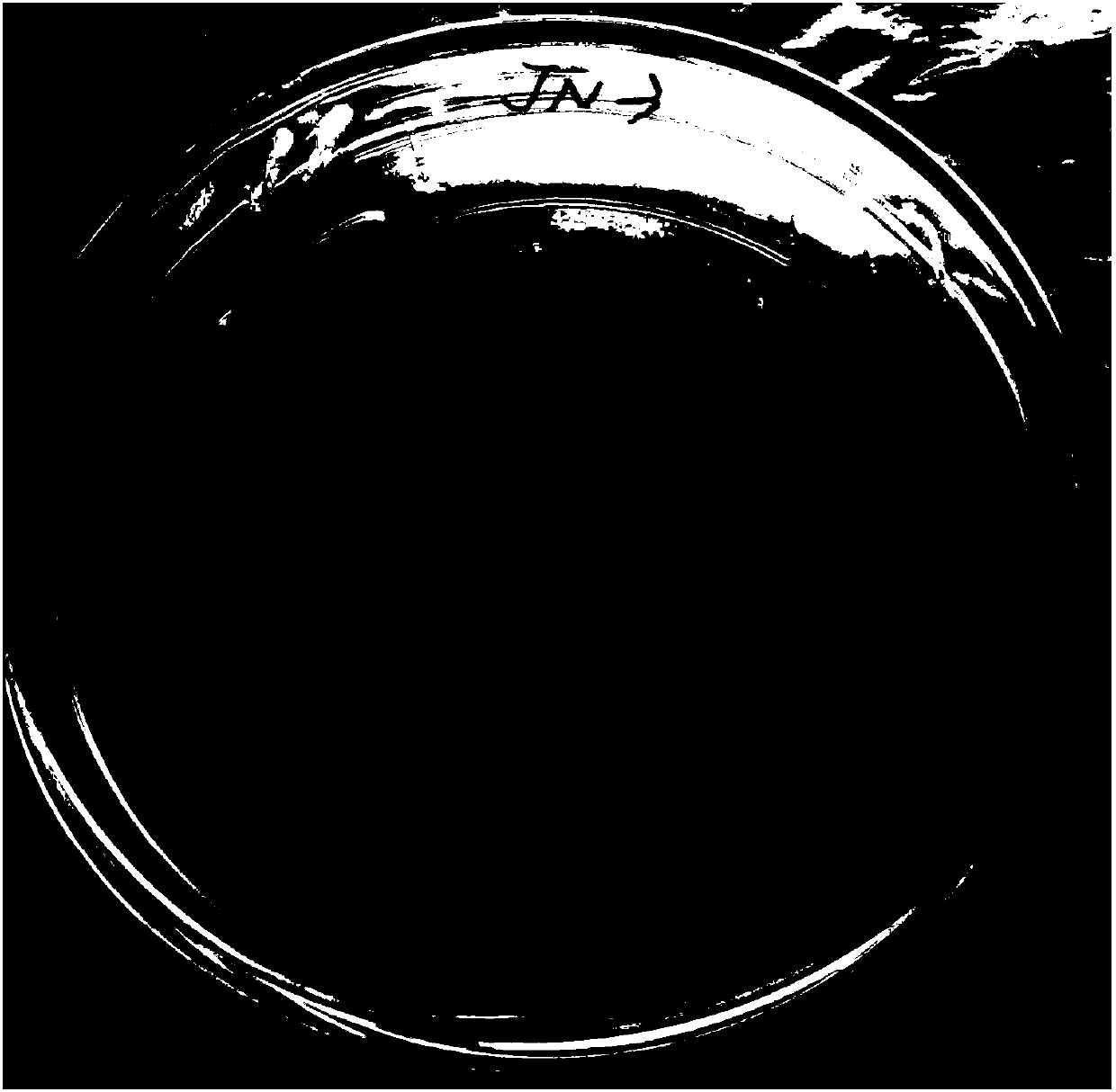 Degradation strain JN3 for petroleum hydrocarbons in oily sludge and application thereof