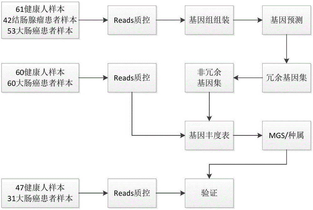 Colorectal cancer marker and application thereof