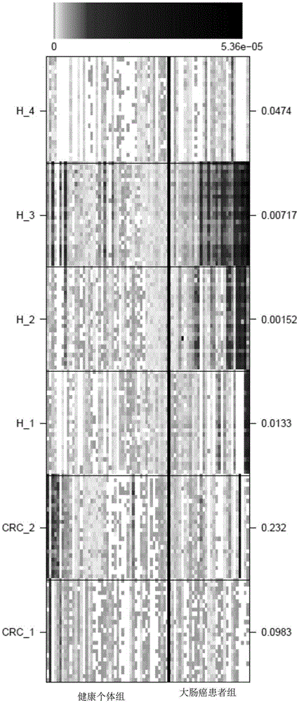 Colorectal cancer marker and application thereof