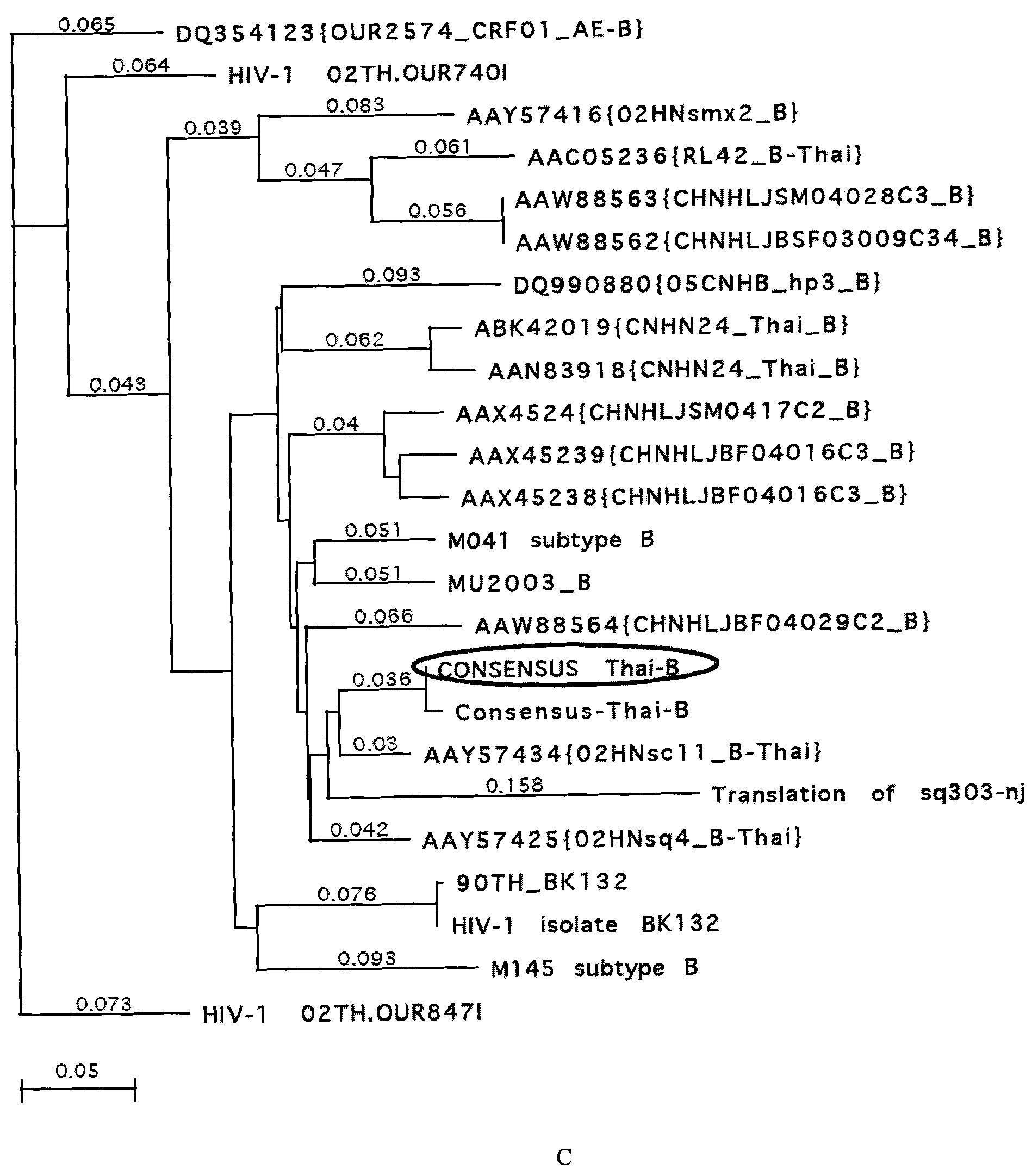 HIV-1gp120 gene consensus sequence optimized by codon and gp120 nucleic acid vaccine