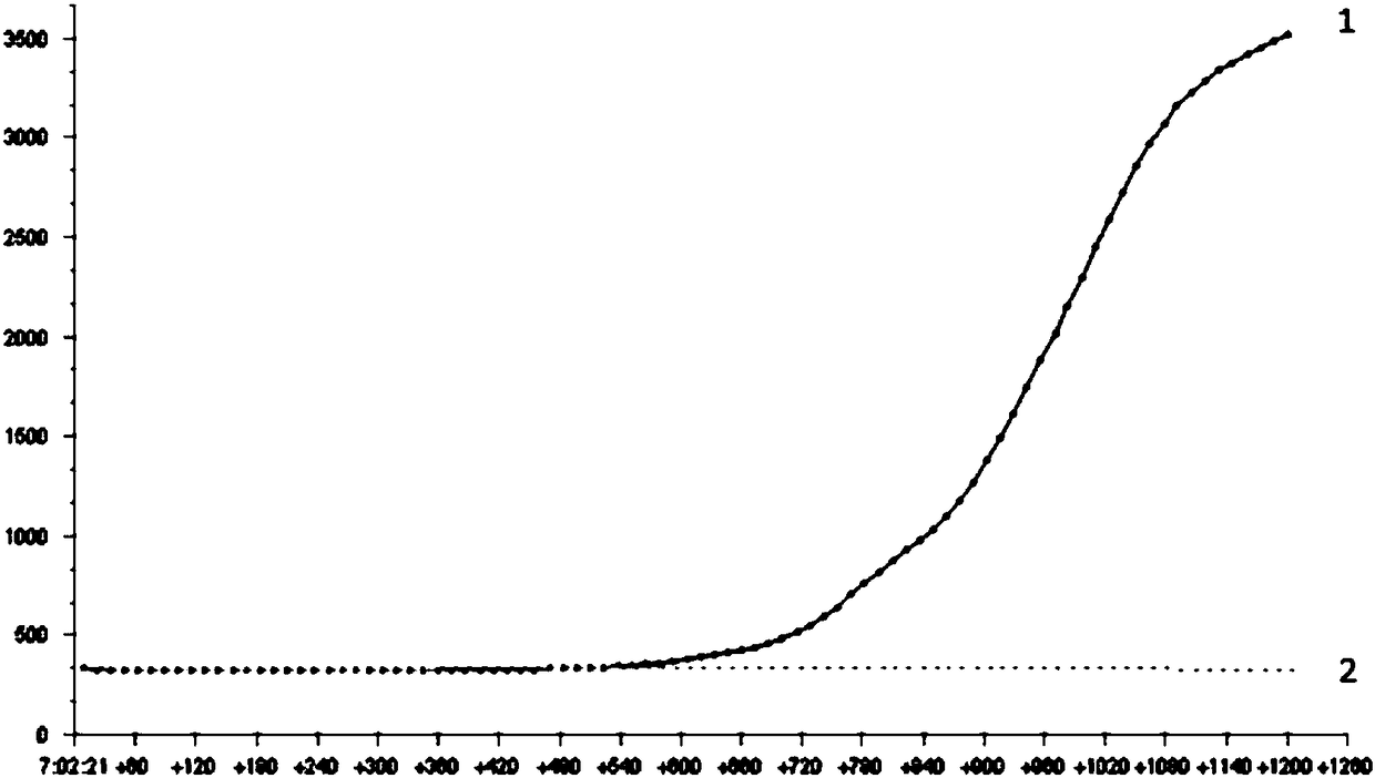 RPA primer, probe and detection method for detecting salmonella