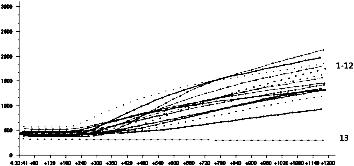 RPA primer, probe and detection method for detecting salmonella