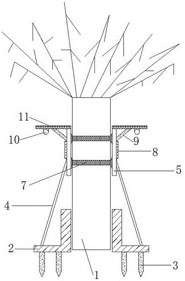 Multifunctional protecting and fixing device for trunk on road