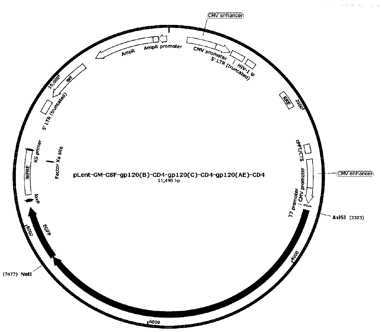 Anti-hiv-1 gene, application of the gene, dc vaccine with the gene, and vaccine preparation method