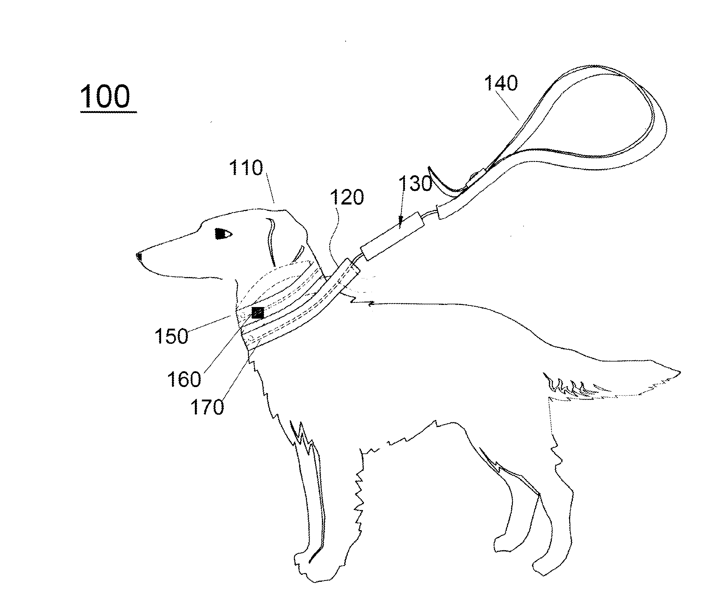 Leash and collar for animal control