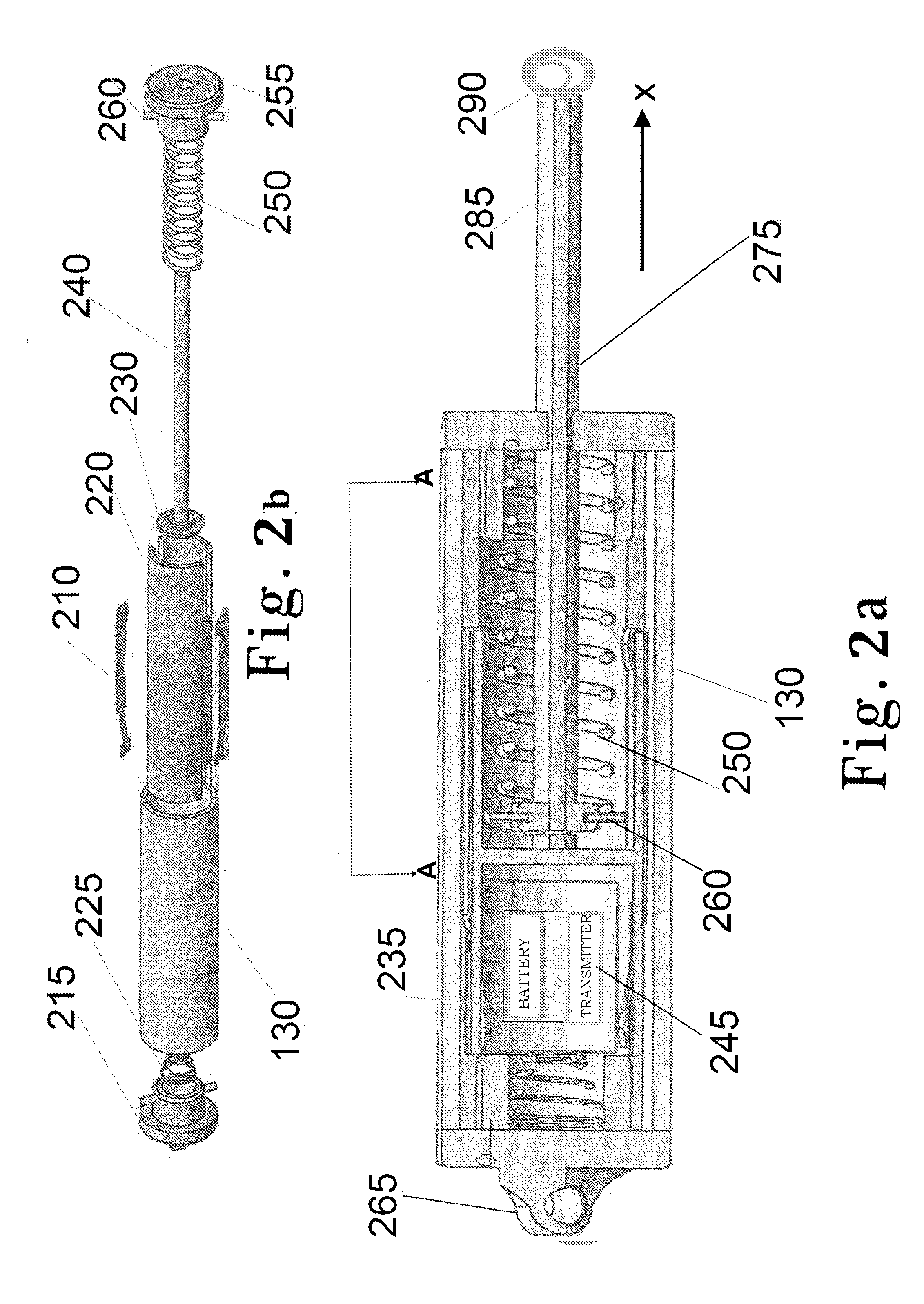 Leash and collar for animal control