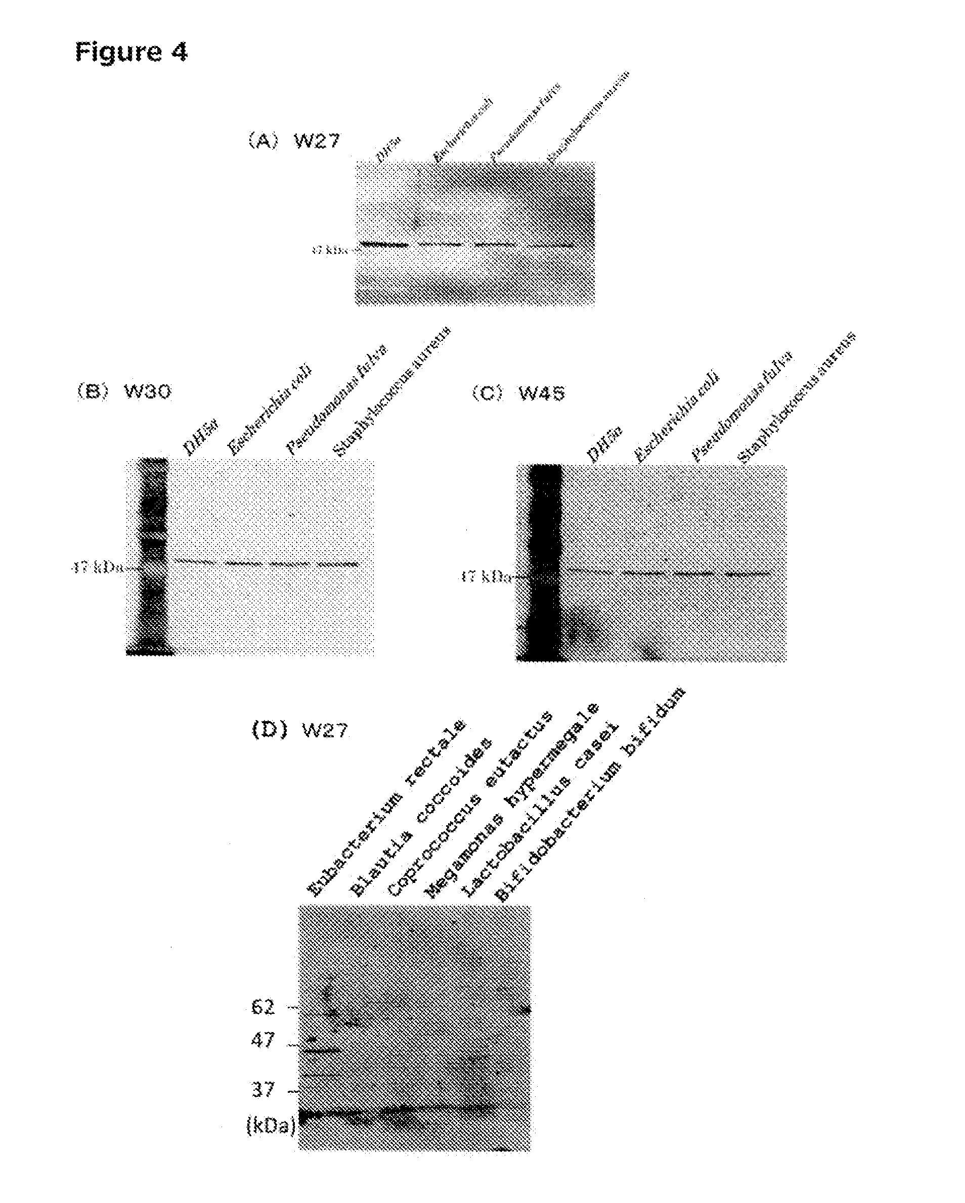 METHOD FOR PRODUCING MONOCLONAL IgA ANTIBODY