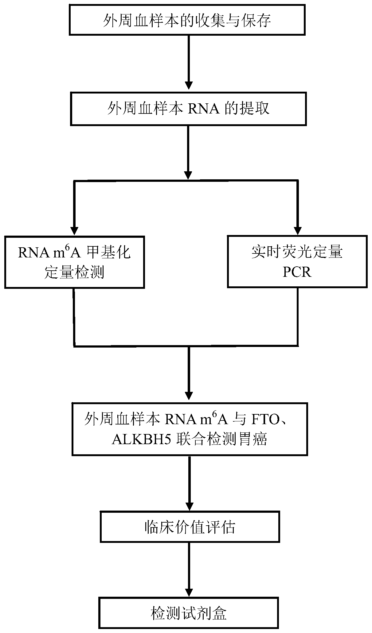 Gastric cancer biomarker based on peripheral blood and detection method and application thereof