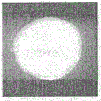 Nondestructive testing device for hyperspectral transmission imaging of sphere-like fruits