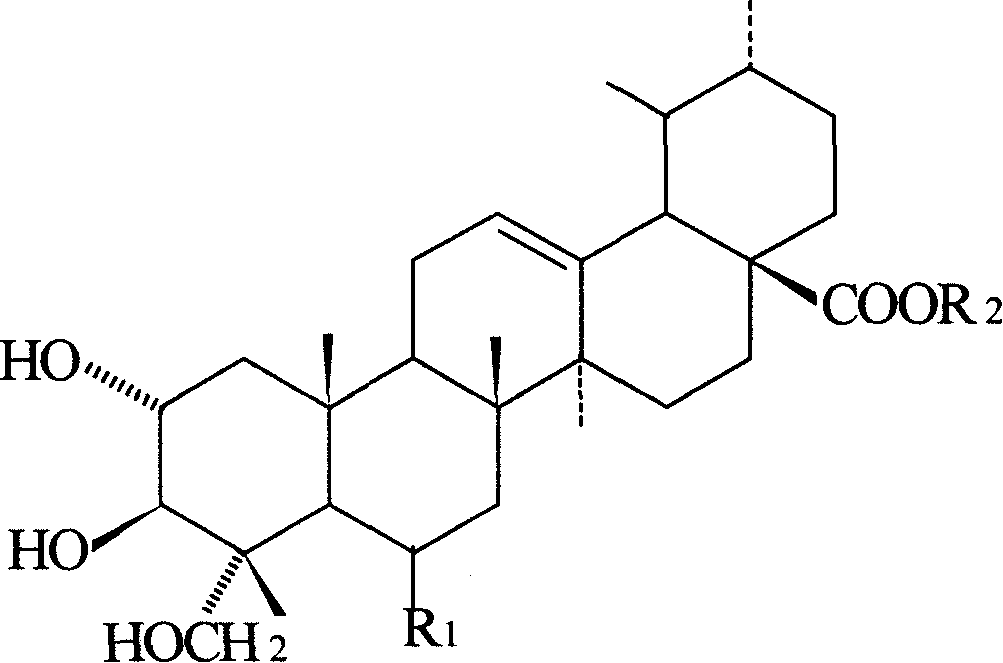 Application in antidepressants preparation of asiatic acid and derivative