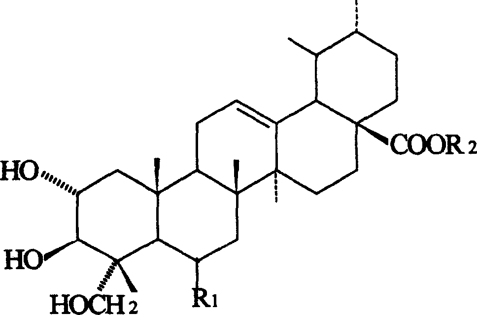 Application in antidepressants preparation of asiatic acid and derivative