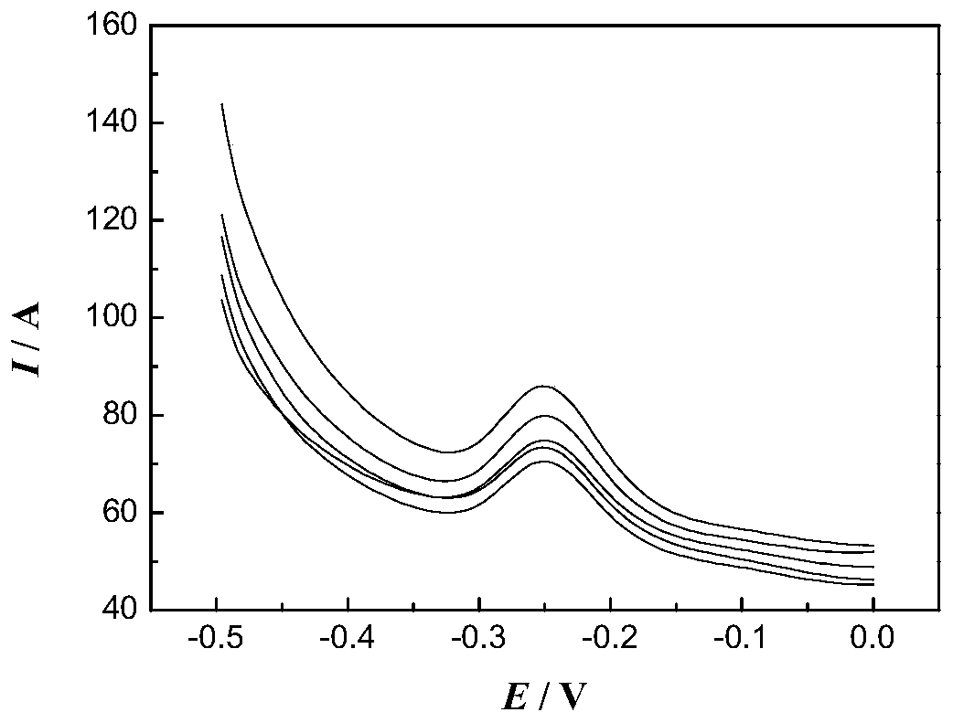 A kind of construction method of highly stable nucleic acid sensor