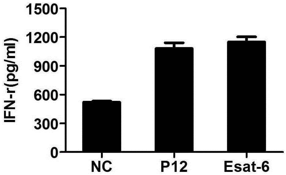 Mycobacterium tuberculosis specific CD4+T cell epitope peptide P12 and application thereof