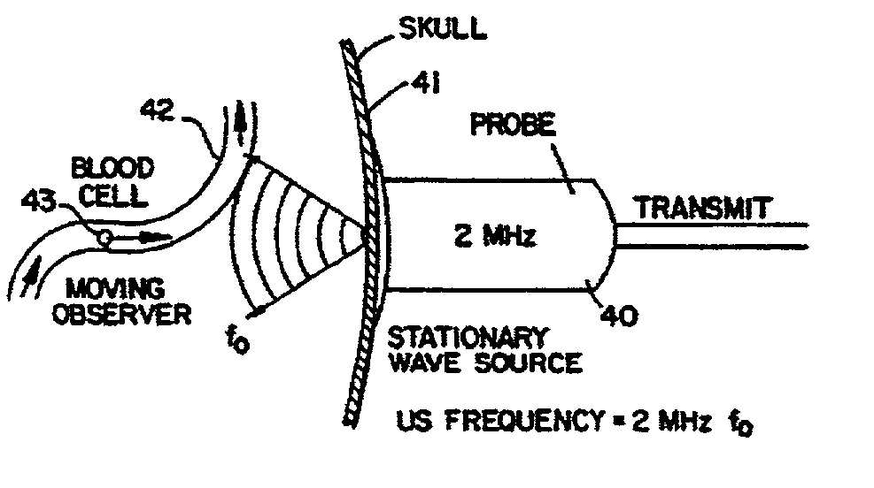 Decision support systems and methods for assessing vascular health