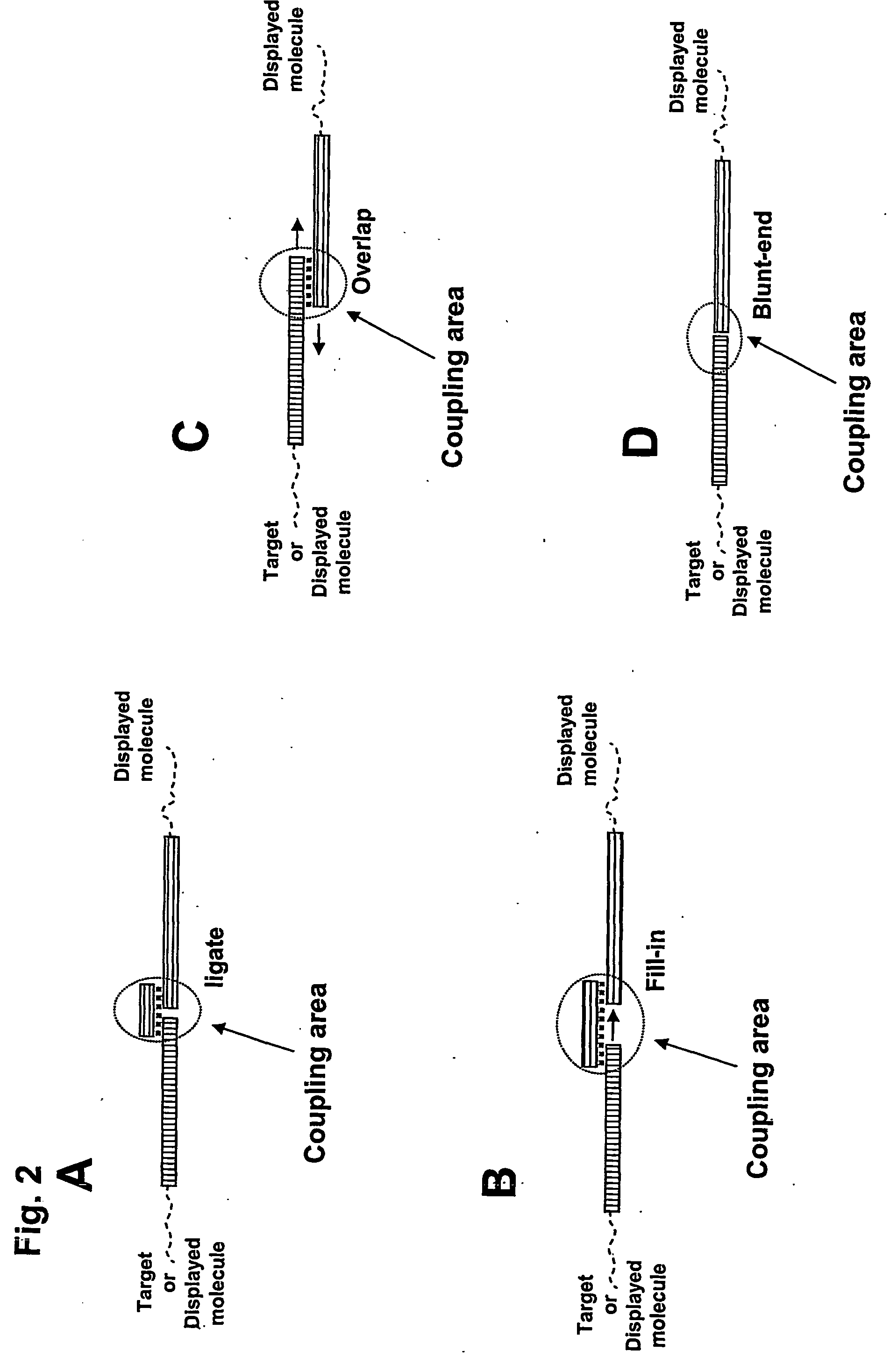 Method for Obtaining Structural Information Concerning an Encoded Molecule and Method for Selecting Compounds