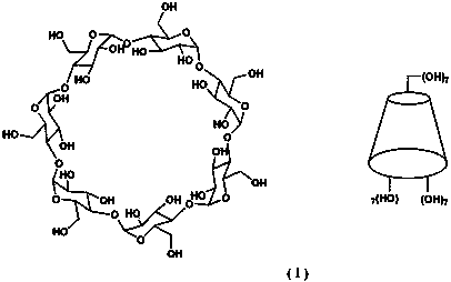 6-site monosubstituted-beta-cyclodextrin functional monomer and preparation method thereof