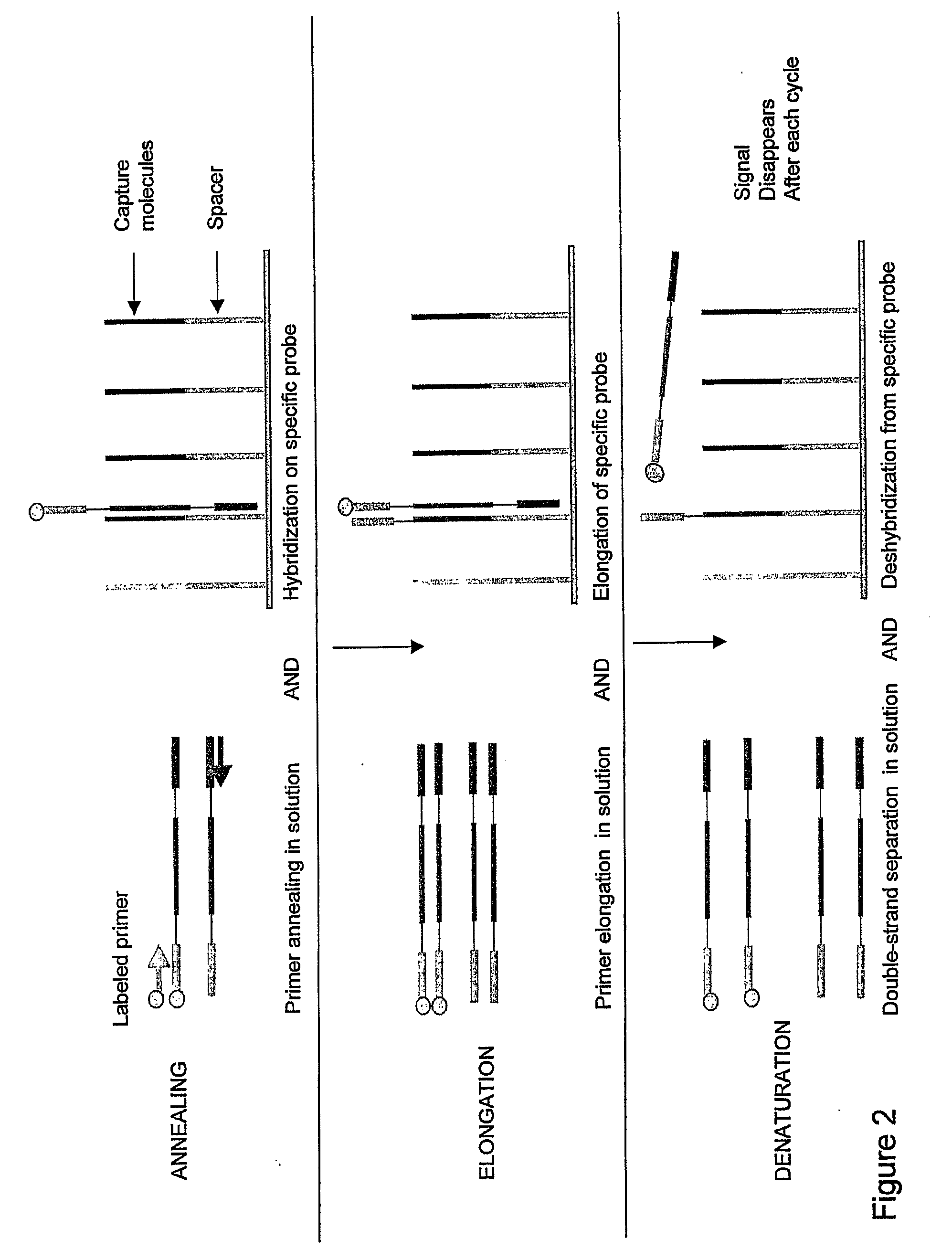 Real-time PCR of targets on a micro-array