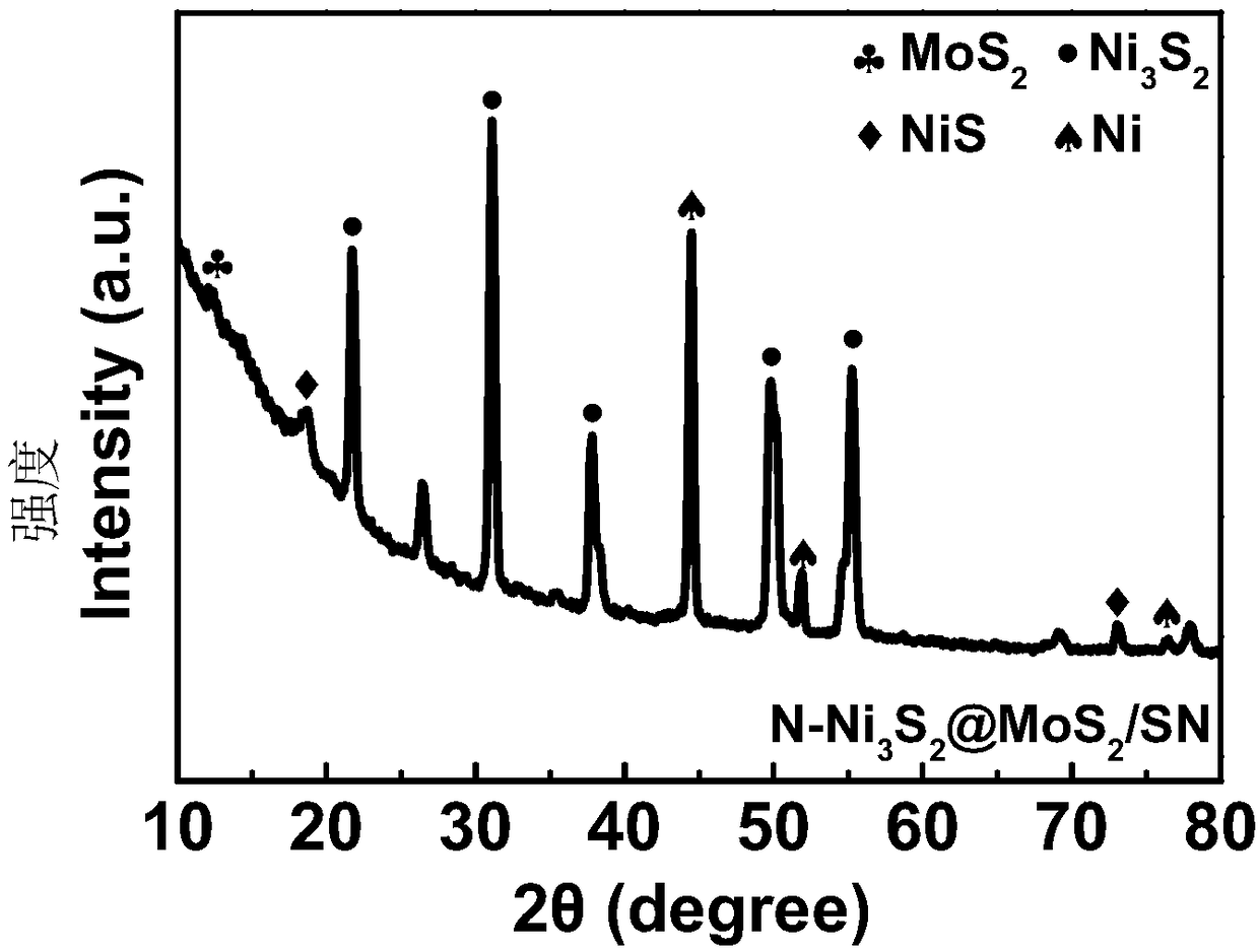 Oxygen evolution electrocatalyst and preparation method and application thereof