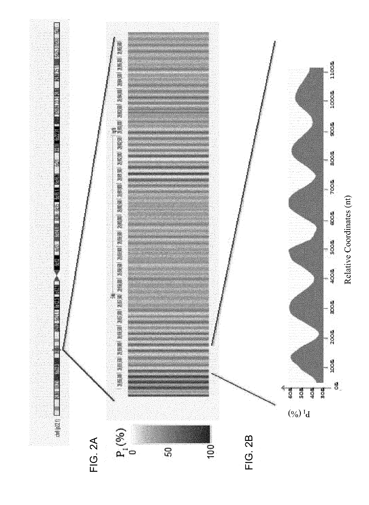 Analysis of fragmentation patterns of cell-free DNA