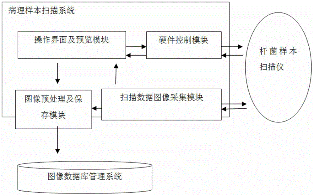 Automatic mycobacterium tuberculosis screening system for mycobacterium tuberculosis sputum smear