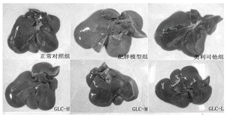 Application of glucosamine in weight reduction and fat reduction