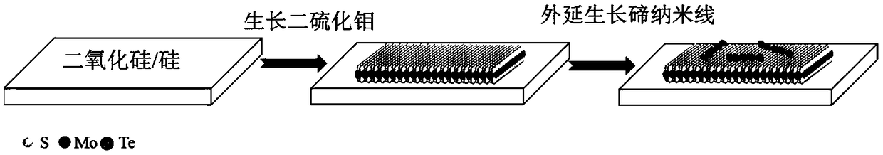 A Te/MoS2 van der Waals heterostructure and preparation method and application thereof