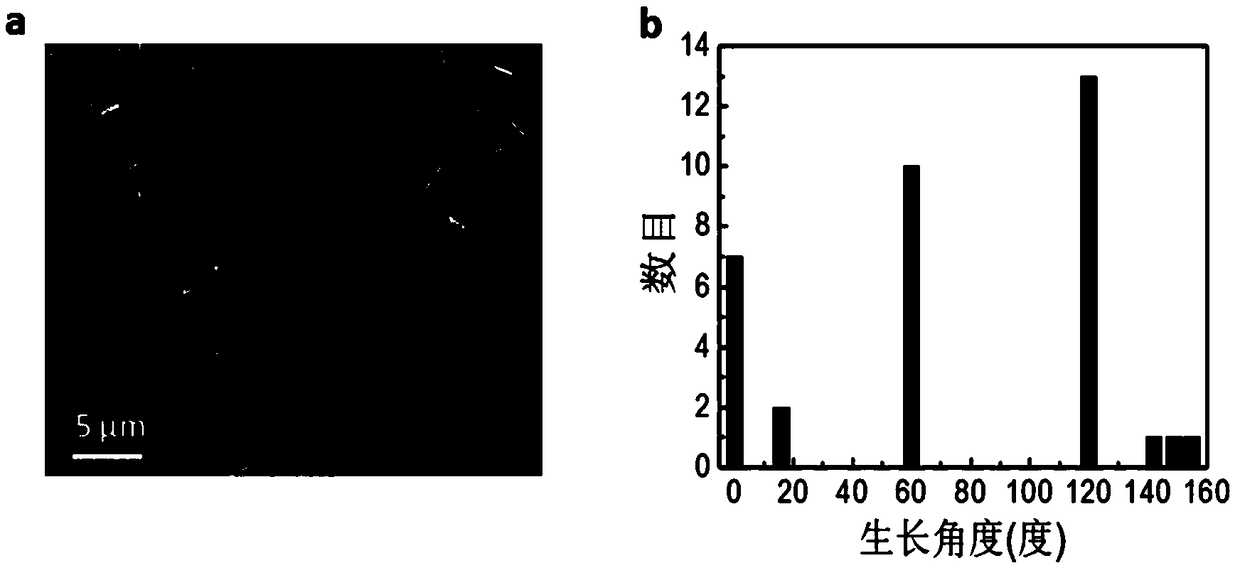 A Te/MoS2 van der Waals heterostructure and preparation method and application thereof