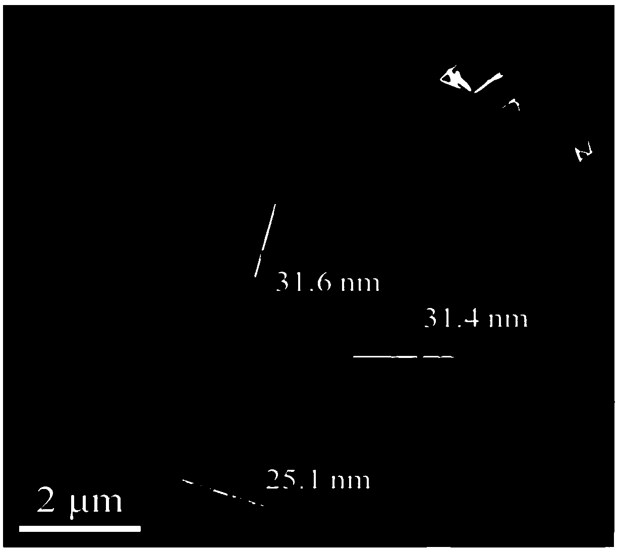 A Te/MoS2 van der Waals heterostructure and preparation method and application thereof