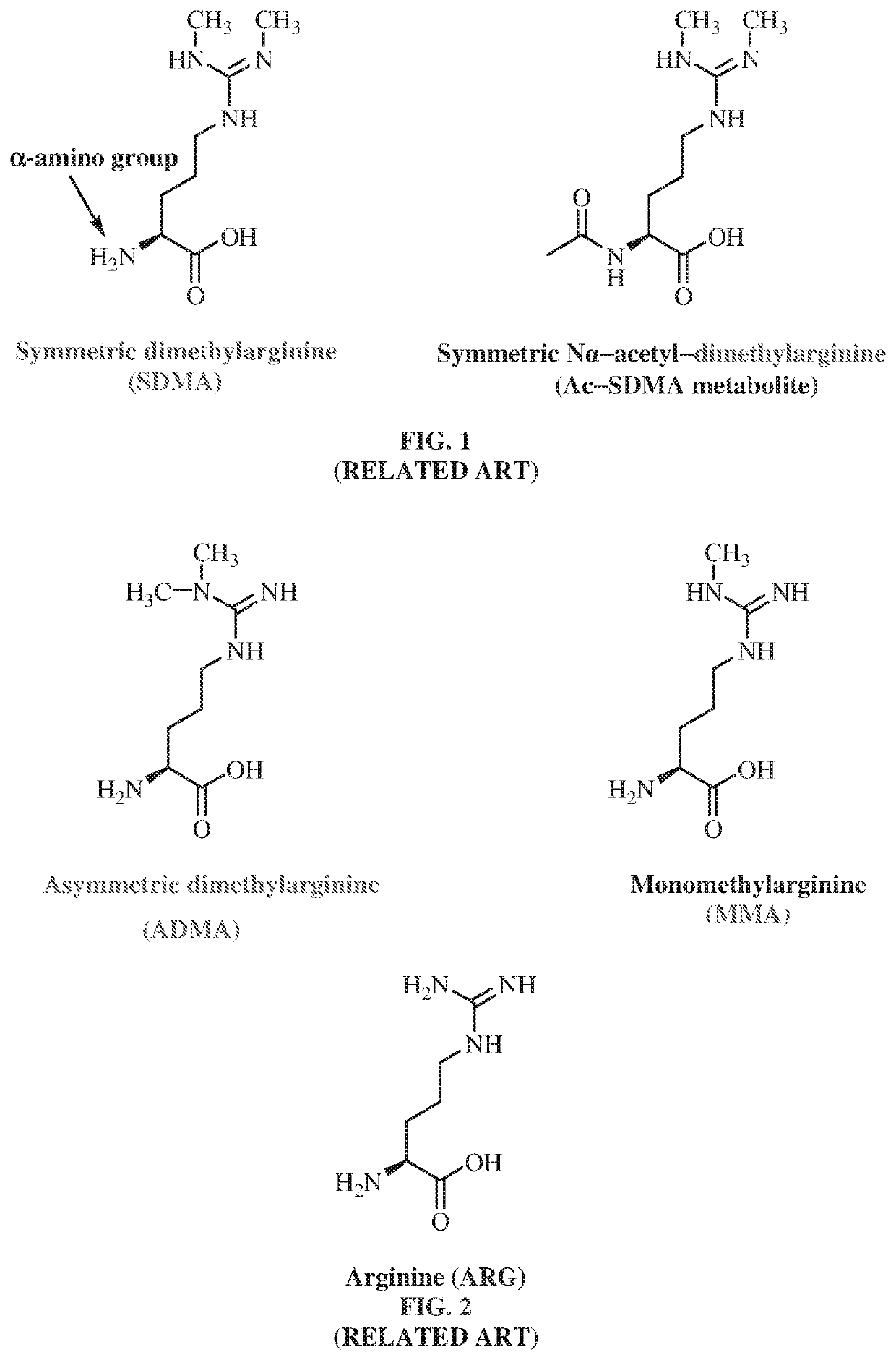 Antibodies to symmetrically dimethylated arginine analytes and use thereof