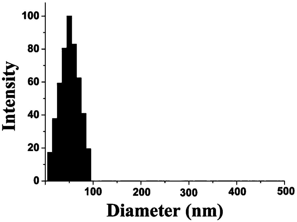 Real-time dynamic light scattering quantitative PCR instrument