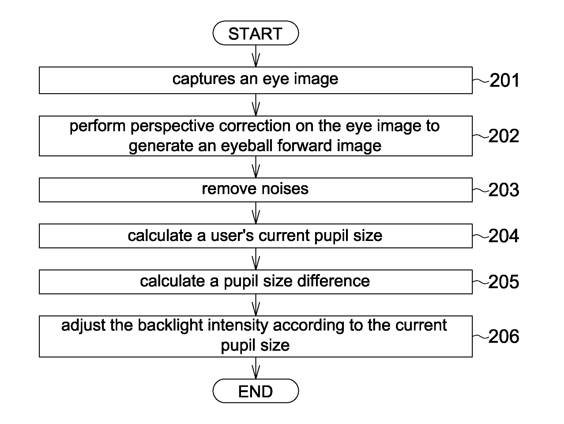 Head mounted display apparatus and backlight adjustment method thereof