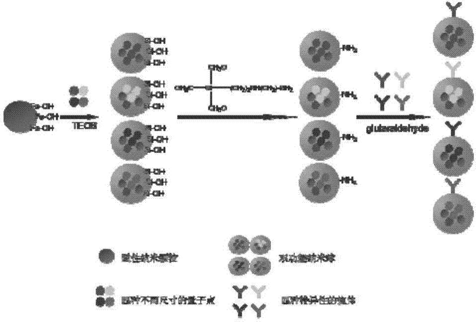 Method for rapidly detecting pathogenic bacteria